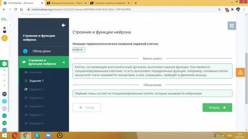 Строение и функции нейрона Напиши терминологическое названиенервной клетки.можете сказать ​