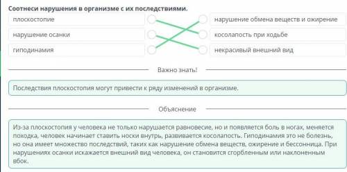 Гиподинамия. Причины нарушения осанки и развития плоскостопия.Профилактика нарушения осанки и плоско