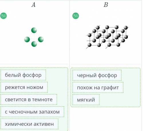 кто делал такое задание в онлайн мектеп Фосфор и его соединения, химические свойства, аллотропные мо