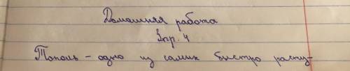 4. Рассмотри рисунок и предположи, какие деревья нужно высаживать в городах, чтобы повысить уровень