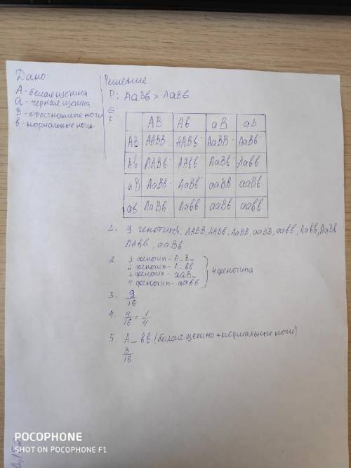 Решите с ДАНО, РЕШЕНИЕ, таблица пинета... Среди потомства от скрещивания двух свиней с бе- лой щетин