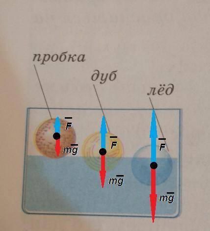 Используя рисунок 155, изобразите графически силы действующие на тела различной плотности, погружённ