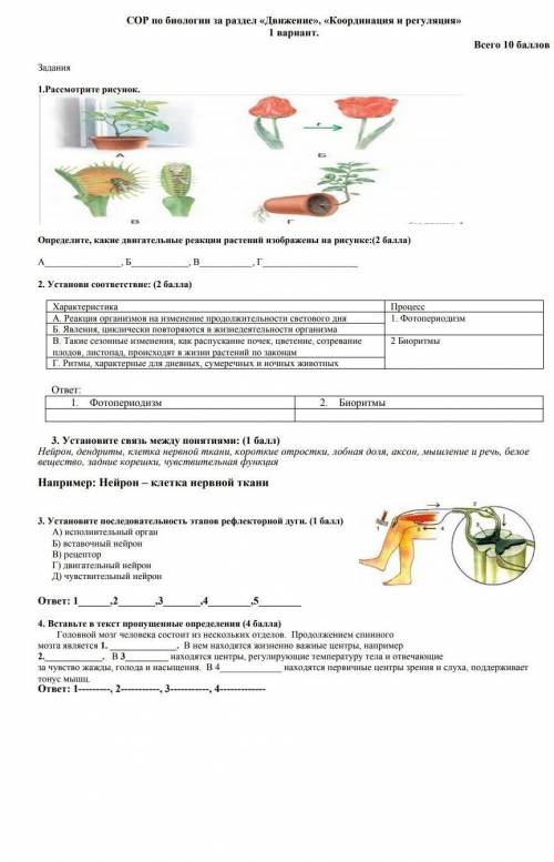СОР по биологии за раздел «Движение», «Координация и регуляция» 1 вариант. Всего Задания 1.Рассмотр