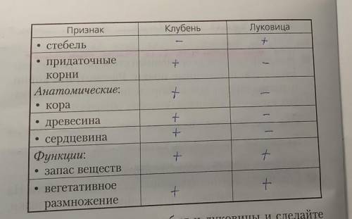 O Занесите полученные результаты в таблицу (отметьте знаком «+» Или «-»).Признаки побега, присущие к