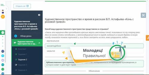 Какой вид художественного пространства представлен в отрывке? «Сквозь это мерцание едва проглядывали