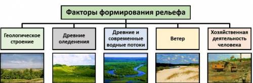 4. Формы Земной поверхности. Опишите основные факторы, влияющие на формирование рельеф Земли, с прим