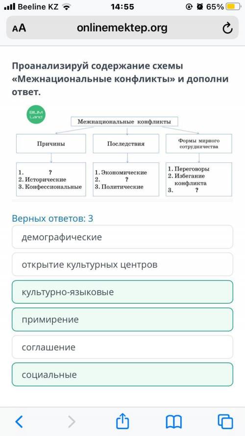 Межнациональное и межконфессиональное согласие Проанализируй содержание схемы «Межнациональные конфл