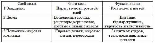 Кожа состоит из 3 слоев, которые выполняют разнообразные функции Заполните пустые графы строения и ф