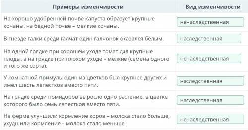 В таблице указано несколько примеров изменчивости. Определи, к какому виду изменчивости относятся пр