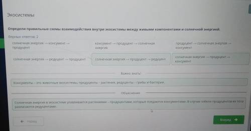 Экосистемы Определи правильные схемы взаимодействия внутри экосистемы между живыми компонентами исол