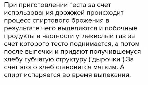 Объяснить процесс поднятия теста с точки зрения биотехнологии