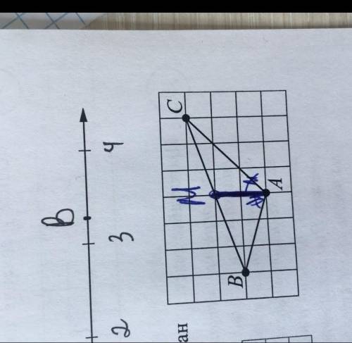 На клеточной бумаге с размером клетки 1×1 нарисован треугольника ABC найдите медиану AM треугольника