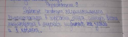 роботы станут незаменимыми в изучении мира смогут вести наблюдение в морских глубинах на земле и в к