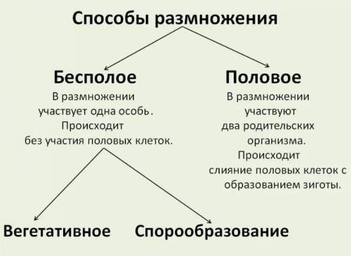 Как взаимосвязаны и типы размножения? Можно ли с точки зрения изменчивости приравнять партеногенез к