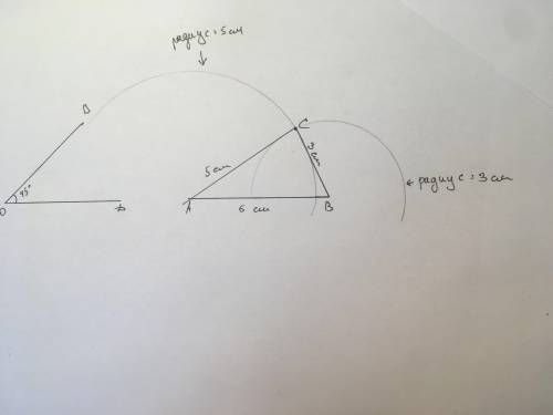 Выполни построение 1)построй угол BOD=45° 2)построй треугольник по трём сторонам с цыркуля и линейки