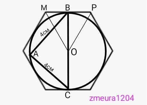 прямоугольный треугольник с катетами 4 см вписан в окружность. найдите площадь правильного шестиугол