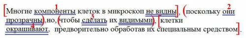 Грамматическая основа: Многие компоненты клеток в микроскоп не видны,поскольку они прозрачны, но, чт