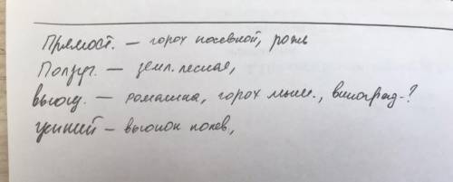 Установите соответствие между строением стебля и растением: Прямостоячие Ползучеевьющиеся Цепкий ви