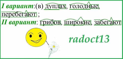 БЕЛКИ Много забот летом у белок. Нужно выкормить маленьких бельчат, собрать и спрятать в дуплах запа