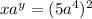 x {a}^{y} = (5 {a}^{4})^{2}