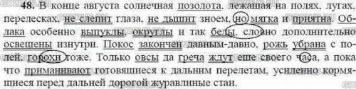 48. Запишите текст, подчёркивая грамматические основы предложений. Какие из сложных предложений союз