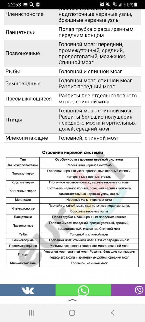 Заполните таблицу нервной системы у разных систематических групп животных систематическая группа осо