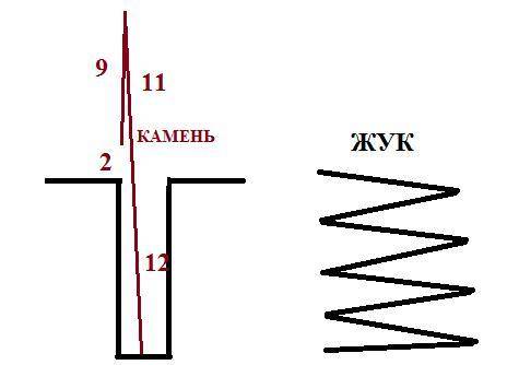 Задание 1 ( ). Камень подбросили с высоты 2 метров от поверхности земли вертикально вверх на 9 метро