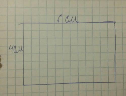 Постройте прямоугольник со сторонами 4 см и 6 см .найдите его периметр.