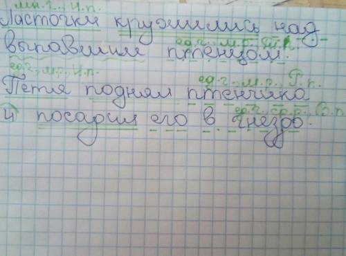 Разберите предложения,укажите у всех имён существительных род,число,падеж.: ласточки кружились над в