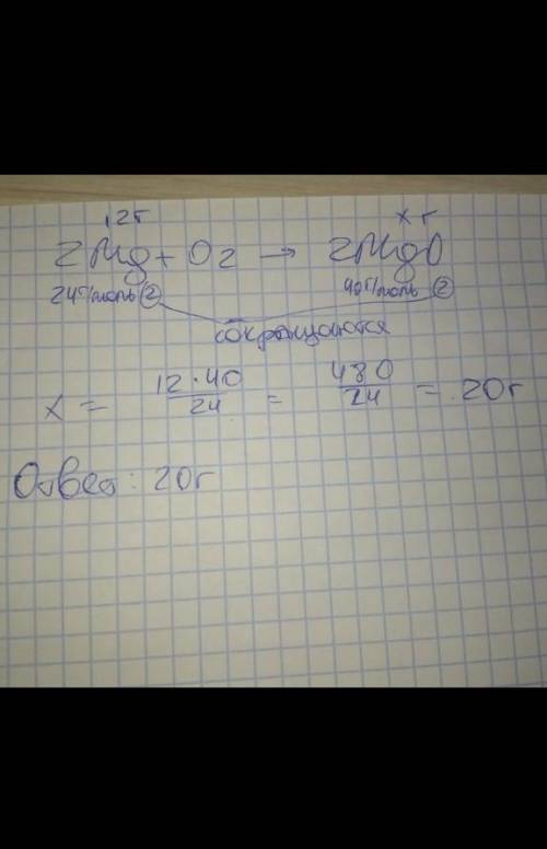 Сколько граммов оксида магния образуется при сжигании магния массой 12 граммов?
