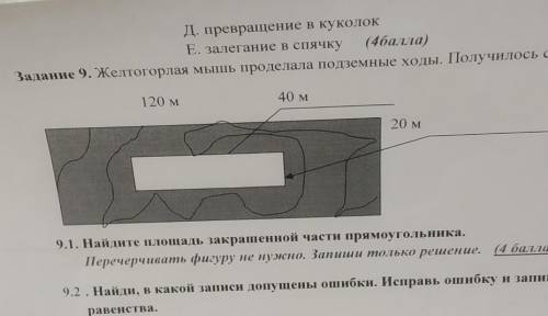 Задание 9. Желтогорлая мышь проделала подземные ходы. Получилось следующее.120 м40 м20 м9.1. Найдите