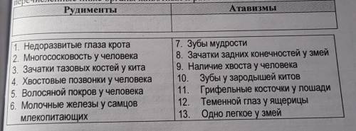 распределите в два столбика перечисленные ниже органы животных и растений​