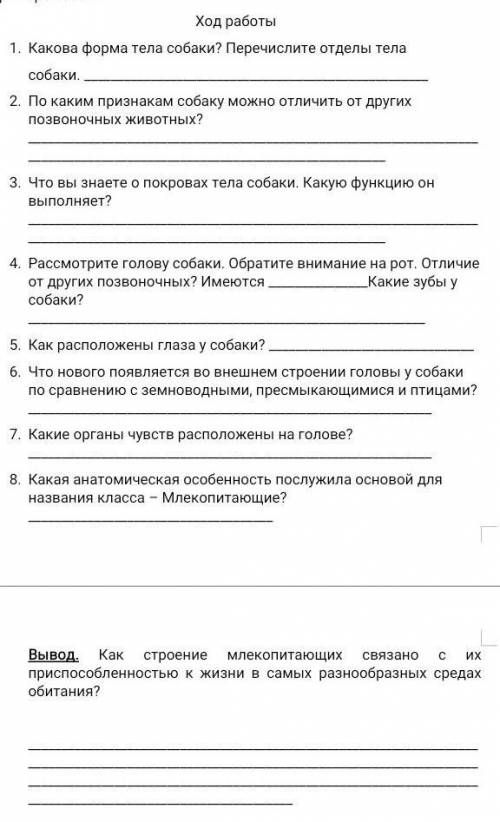 Какова форма тела собаки? Перечислите отделы тела собаки. По каким признакам собаку можно отличить о