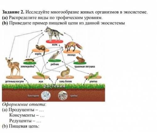 Исследуйте многообразие живых организмов в экосистеме а)Распределите виды трофическим уровням б)Прив