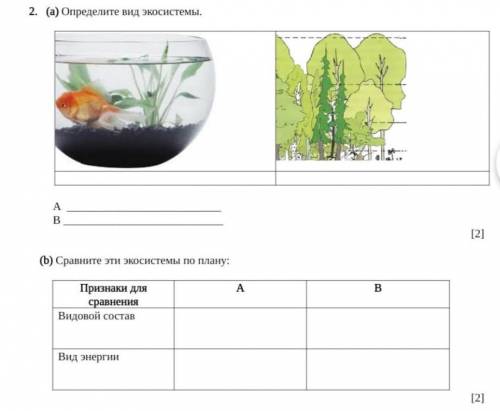 ПО ЕСТЕСТВОЗНАНИЮ СОЧИ