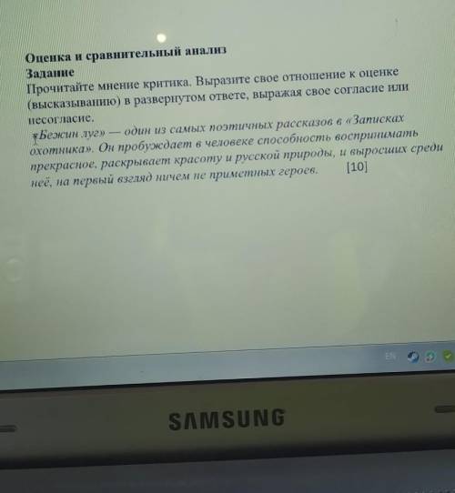 Прочитайте мнение критиков выразите своё отношение к оценке высказывания в развёрнутом ответе выража