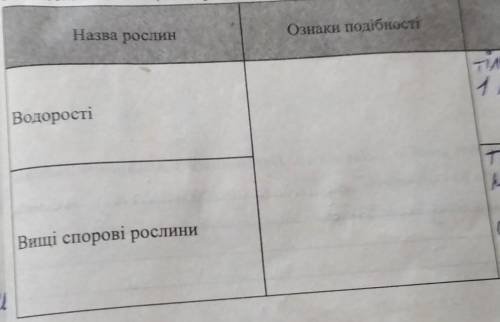 Ознаки подібності водоростей та вищих спорових рослин