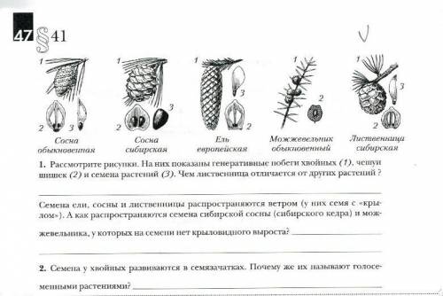 Решите контрольную по биологии!