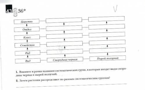 Решите контрольную по биологии!