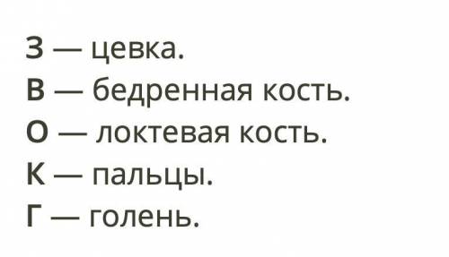 ( ) Определи верную последовательность расположения отделов задней конечности Птицы (начина