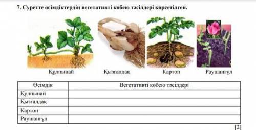 Өсімдіктердің вегетативті көбею тәсілдері көрсетілген​