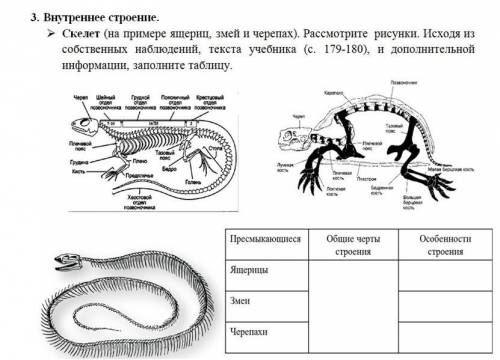 нужно сделать таблицу снизу справа