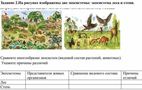 На рисунке изображены две экосистемы: экосистема леса и степи.​