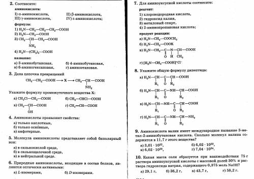 Аминокислоты тест 9 заданий очень