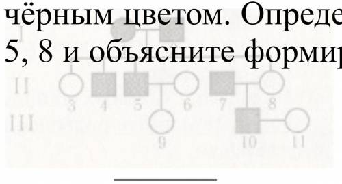 По изображённой на рисунке родословной определите и объясните характер наследования признака, выдел