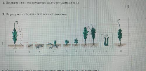 Напишите основное отличие митоза от мейоза. ……………………………………………………………………………………………………[1] Назовите од