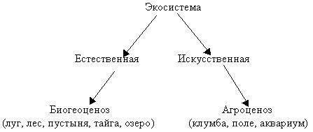  Характеристика природных условий естественной экосистемы ​ 