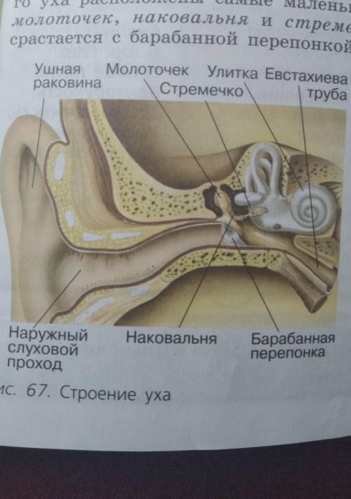 Ребята это нужно нарисовать это и написать определяется ну вы увидите на картинке и нужно р