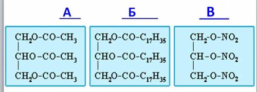 Какая из приведенных структур соответствует молекуле жира?