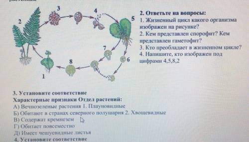 Тест по биологии………​